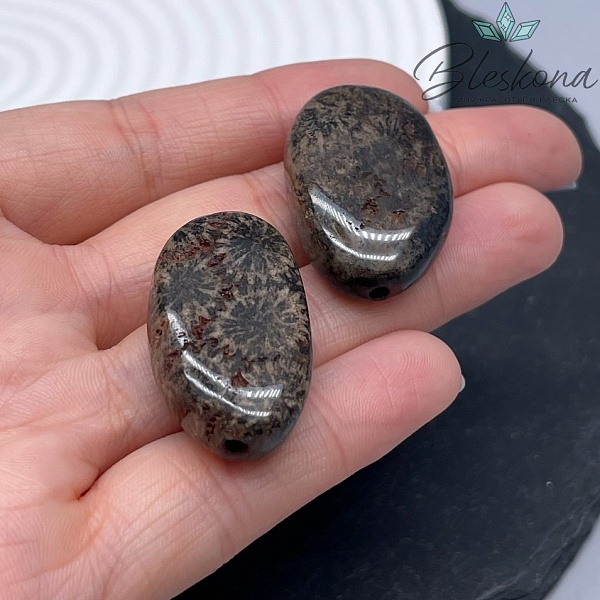 Окаменелый коралл Петоски фриформ №1 (28-29)*20-21) мм штучно