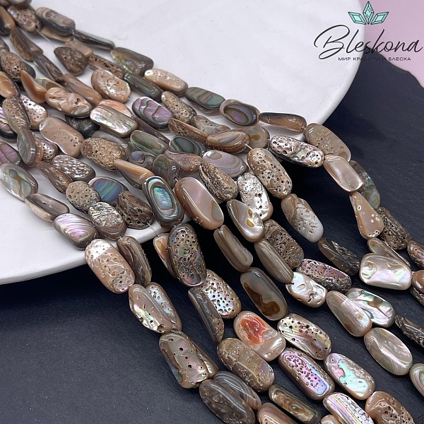 Галтовка из раковины морского ушка (Абалон) 13-17 мм