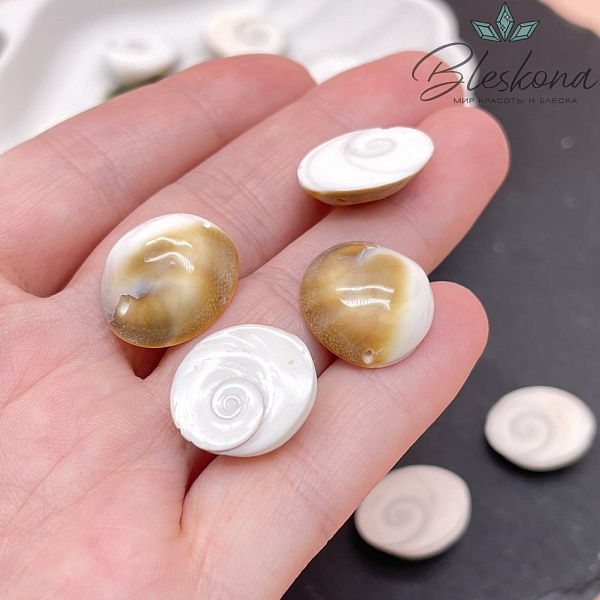 Бусина ракушка 14-17 мм