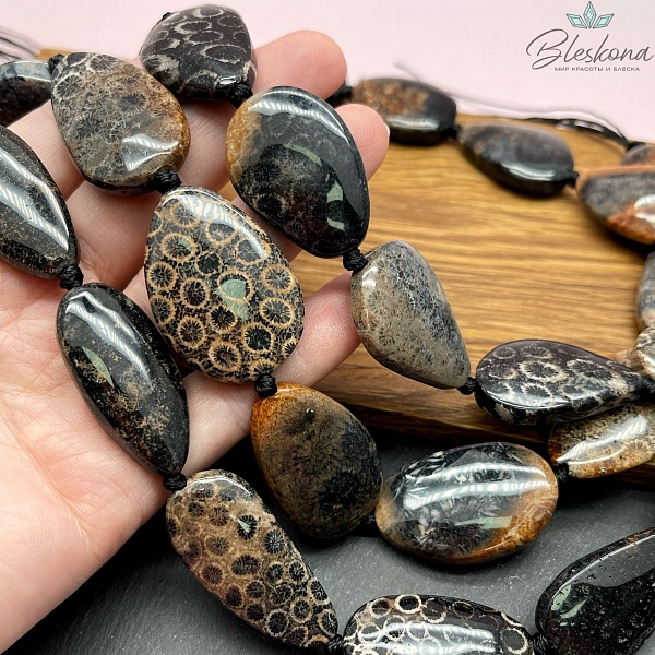 Окаменелый коралл Петоски фриформ (30-35)*(20-21) мм 