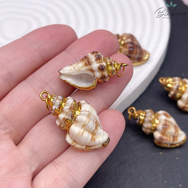 (27-31)*(16-18) мм, Цвет золото, Подвеска ракушка