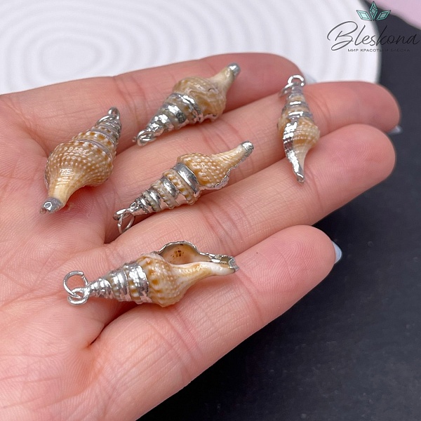 27-30 мм Цвет серебро, Подвеска Ракушка кремовая Спираль