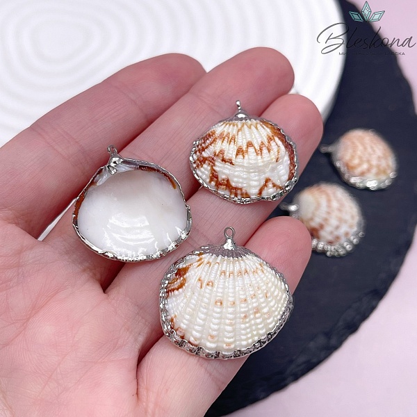 (23-24)*(24-26) мм, Цвет серебро, Подвеска Ракушка бело-коричневая