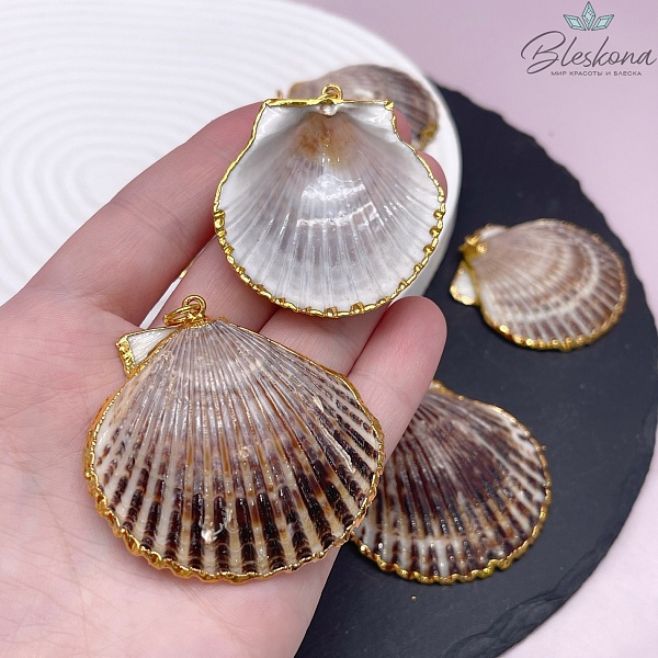 (36-51)*(45-50) мм, Цвет золото,Подвеска Тихоокеанский ситцевый гребешок коричневый