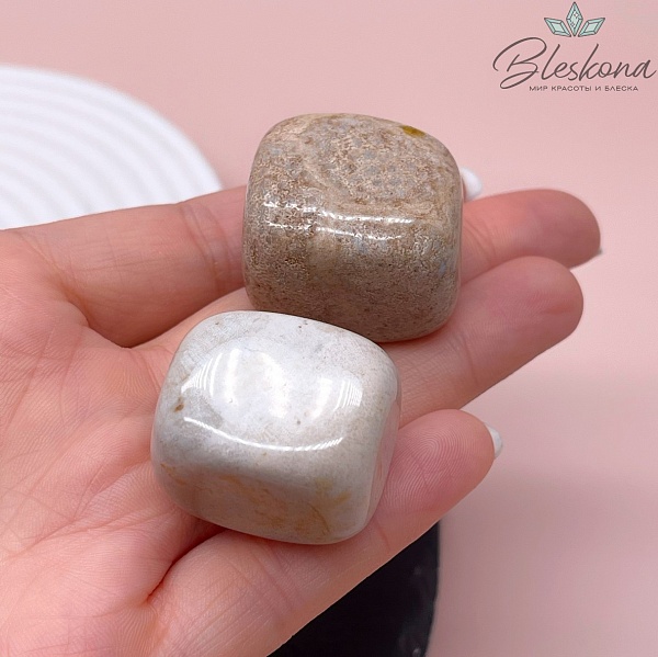 Окаменелый коралл Петоски галтовка 22-25 мм