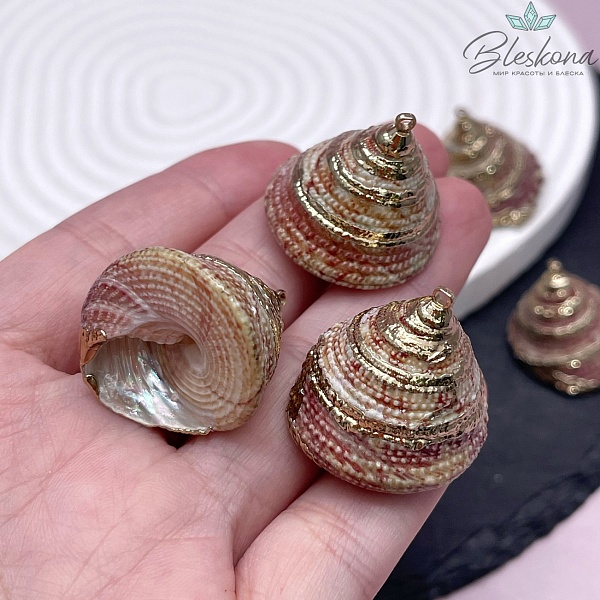 (20-24)*(20-22) мм Цвет золото, Подвеска Ракушка Трохус бело-бордовая